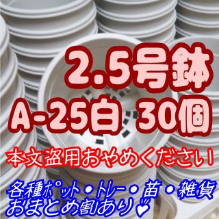 プラ鉢2.5号鉢【A-25】30個 スリット鉢 丸 プレステラ 多肉植物(プランター)