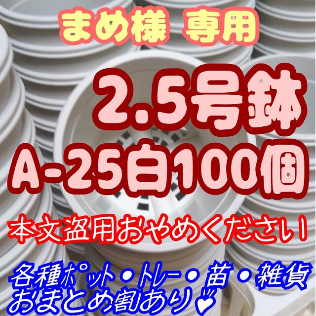 プラ鉢2.5号鉢【A-25】100個 スリット鉢 丸 プレステラ 多肉植物 ハンドメイドのフラワー/ガーデン(プランター)の商品写真