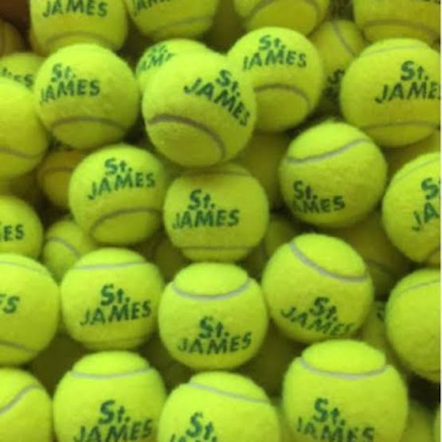 DUNLOP(ダンロップ)の激安　セントジェームステニスボール　５０球 スポーツ/アウトドアのテニス(ボール)の商品写真