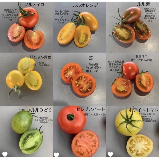 龍宮ジュエリー2キロ 食品/飲料/酒の食品(野菜)の商品写真