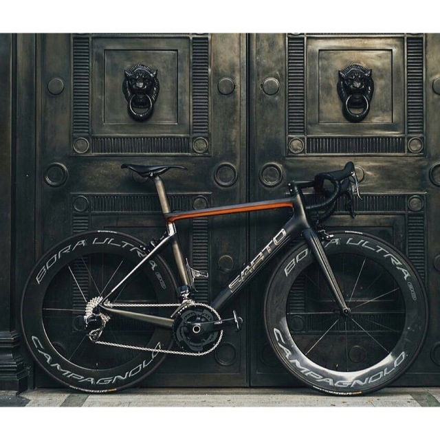 最大80%OFFクーポン 新品未使用 Campagnolo カンパニョーロ チェーンステーガード