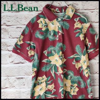 エルエルビーン(L.L.Bean)のL.L.Bean　エルエルビーン　トップス　Tシャツ　レディース【SM】(ポロシャツ)