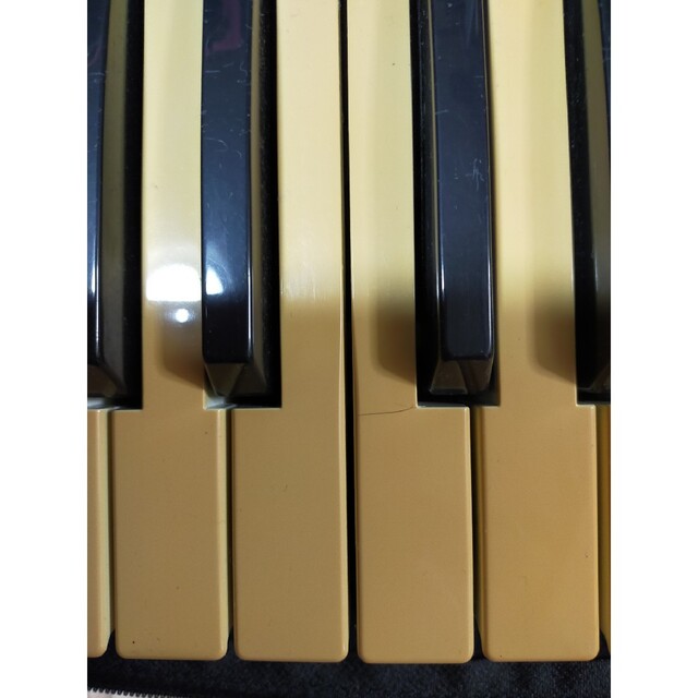 KORGシンセサイザーM50動作確認済スタンドケース2点セット KORGシンセサイザーM50動作確認済スタンドケース2点セット
