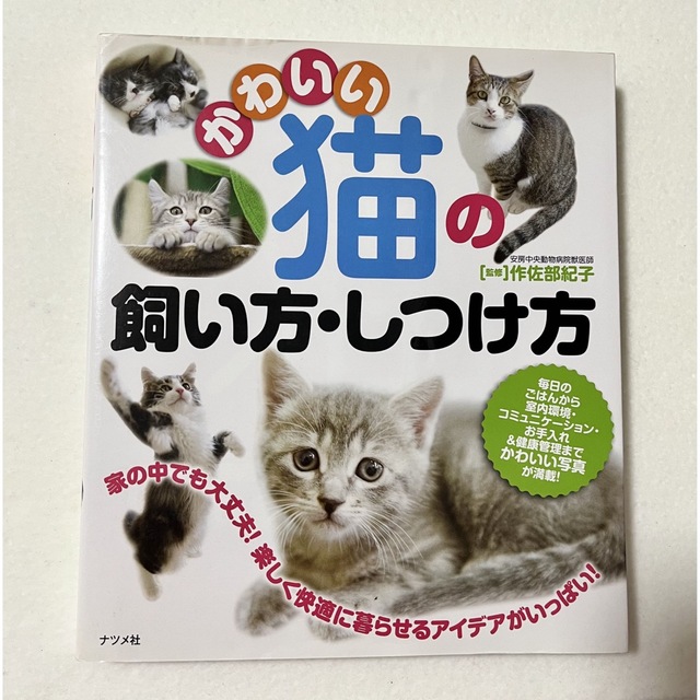 かわいい猫の飼い方・しつけ方 エンタメ/ホビーの本(住まい/暮らし/子育て)の商品写真