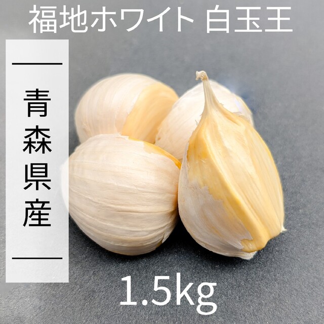 にんにく 【青森県産】福地ホワイト六片 1.5kg 産直野菜② 食品/飲料/酒の食品(野菜)の商品写真