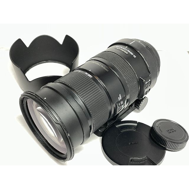 ☆ ニコン用 APO 50-500mm F4.5-6.3 DG OS HSM-