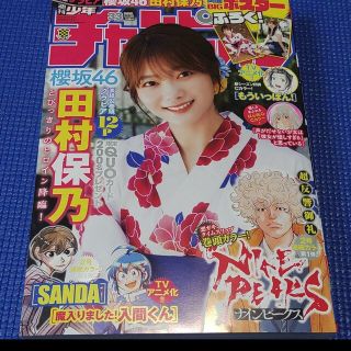 アキタショテン(秋田書店)の櫻坂46 田村保乃 週刊少年チャンピオン 33号 応募券無(漫画雑誌)