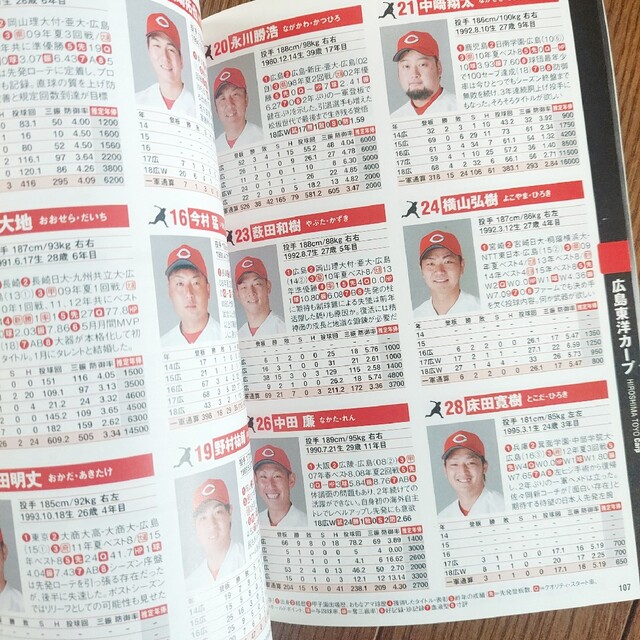 プロ野球パーフェクトデータ選手名鑑 ２０１９　全選手5年間の成績&年俸表 エンタメ/ホビーの本(趣味/スポーツ/実用)の商品写真