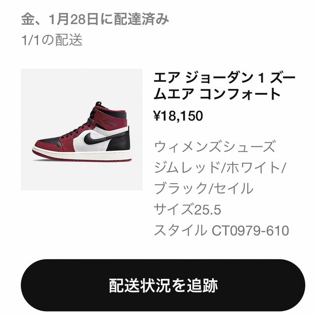 NIKE JORDAN 1 ズームエア コンフォート Size : 25.5cm