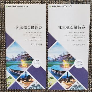 東急不動産　株主優待券　100株用　2冊(その他)