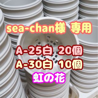 プラ鉢30個おまとめセット【A-25×20個・A-30×10個】他プレステラ多肉(プランター)