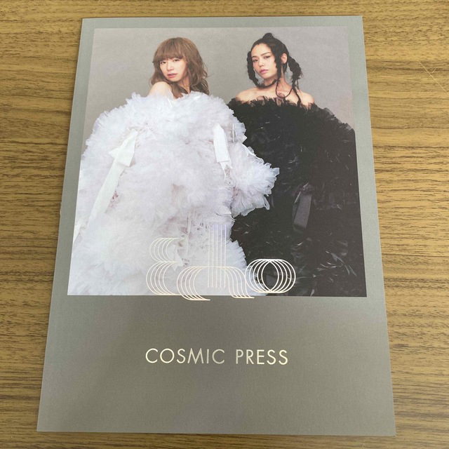 Sleep(スリープ)のYUKI COSMIC PRESS ファンクラブ　会報 エンタメ/ホビーのタレントグッズ(ミュージシャン)の商品写真