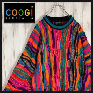 COOGI - 【激レア】coogi クージー 立体 編込み 3Dニット 即完売モデル