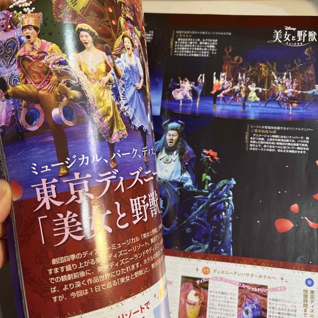 Disney(ディズニー)のDisney FAN (ディズニーファン) 2023年 01月号 エンタメ/ホビーの雑誌(その他)の商品写真