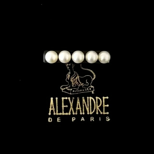 Alexandre de Paris(アレクサンドルドゥパリ)の新品☆アレクサンドル ドゥ パリ バレッタ (6cm) レディースのヘアアクセサリー(バレッタ/ヘアクリップ)の商品写真