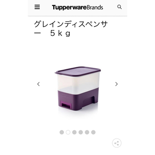 タッパーウェア(TupperwareBrands)のタッパーウェア　グレインディスペンサー米びつ(容器)