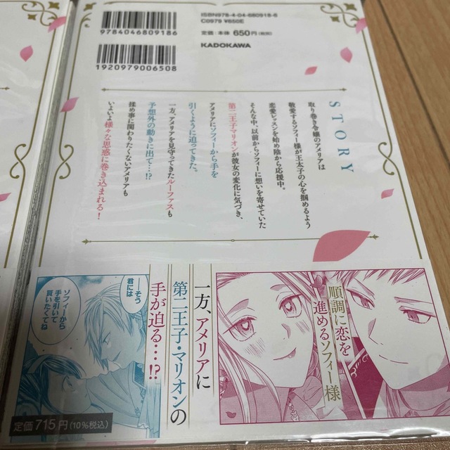 角川書店(カドカワショテン)の臆病な伯爵令嬢は揉め事を望まない １〜4  完結 エンタメ/ホビーの漫画(その他)の商品写真