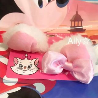 ディズニー(Disney)の2点(ヘアピン)