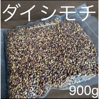 ダイシモチ玄麦900g(米/穀物)