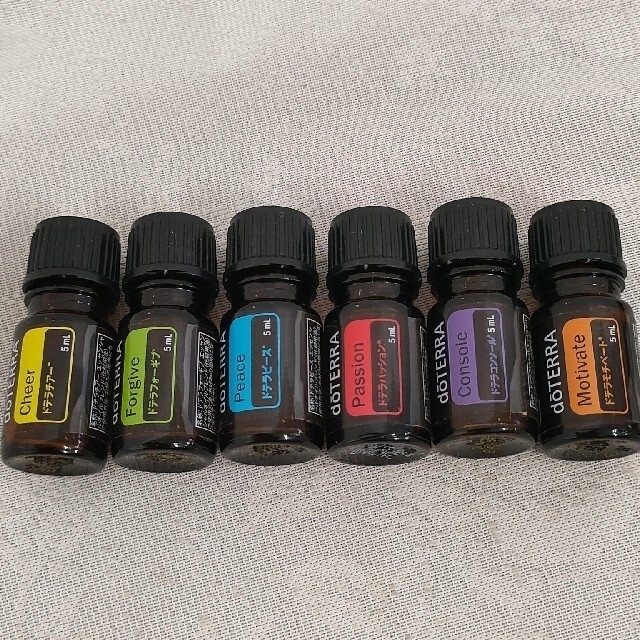 ドテラ doTERRA けろ アロマオイルボックス オイルアクセサリー 2個 ドテラ doTERRA けろ アロマオイルボックス オイルアクセサリー 2個