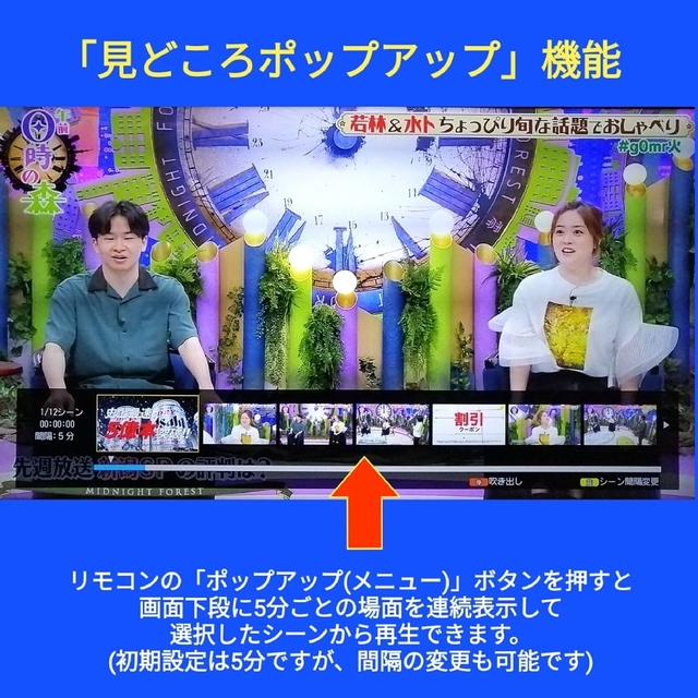SHARP ブルーレイレコーダー【BD-W570】◇連続ドラマ自動録画 SHARP ブルーレイレコーダー【BD-W570】◇連続ドラマ自動録画