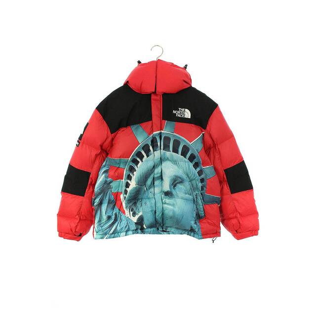 時間指定不可】 THE ×ノースフェイス シュプリーム - Supreme NORTH L