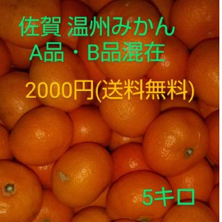 佐賀県産 温州みかん 5キロ(フルーツ)