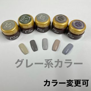 （カラー変更可 ）グレー系カラーセット　カラージェル ジェルネイル(カラージェル)