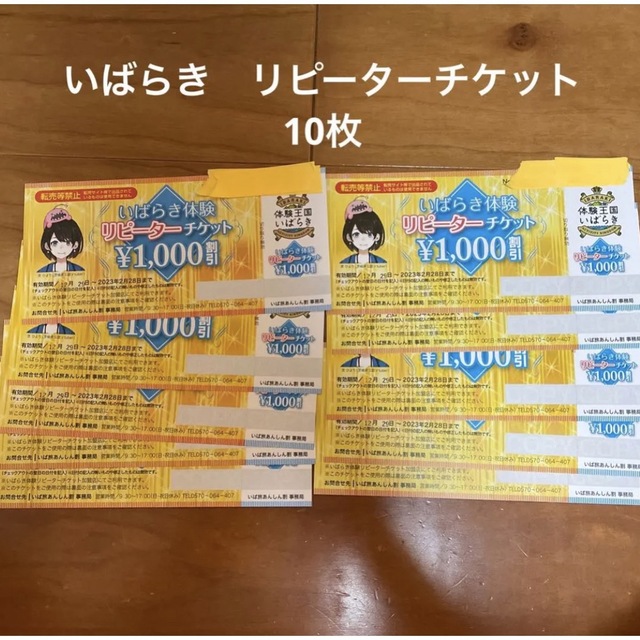 茨城　いばらき体験　リピーターチケット　10,000円分　1,000円✖️10枚