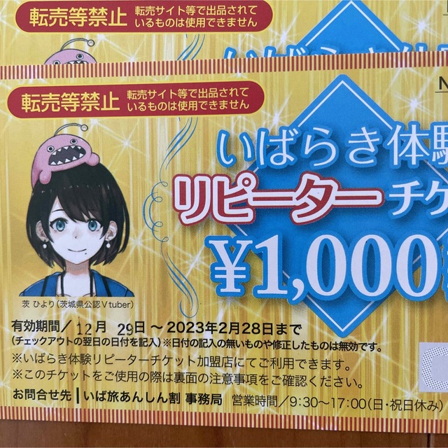 茨城　いばらき体験　リピーターチケット　10,000円分　1,000円✖️10枚 チケットの施設利用券(遊園地/テーマパーク)の商品写真