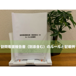 訪問看護報告書のルールと記載例(語学/参考書)