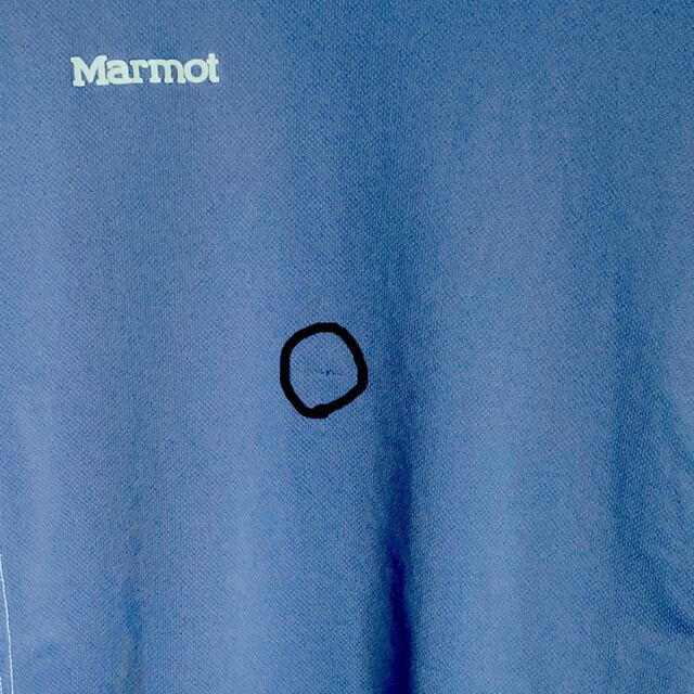 MARMOT(マーモット)のマーモット レディーストレッキング長袖Tシャツ　M レディースのトップス(Tシャツ(長袖/七分))の商品写真