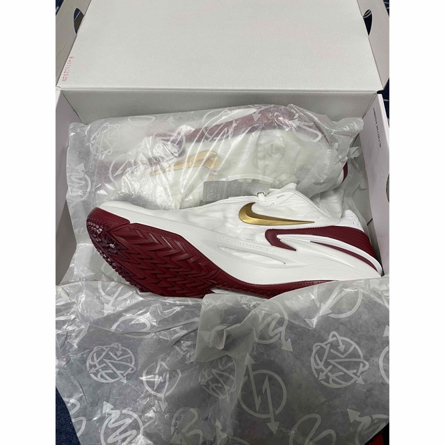 NIKE AIR ZOOM G.T.CUT 2 29.0cm 新品未使用-
