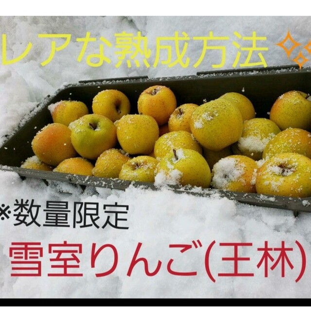 数量限定　　雪室りんご　　王林５kg 食品/飲料/酒の食品(フルーツ)の商品写真