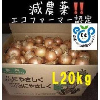 北海道産玉ねぎ 20 kg L サイズ(野菜)