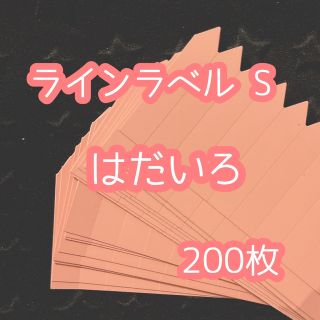 ラインラベル 小 肌 200枚 園芸カラーラベル 多肉植物 エケベリア (プランター)