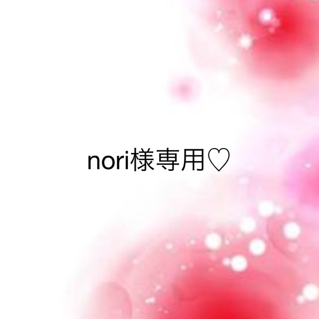 nori様専用♡ 最高の www.sisteplant.com