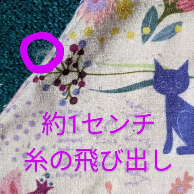 ANNA SUI mini(アナスイミニ)のアナスイミニ　140　アイボリーネコ柄　インナーパンツ付きスカート キッズ/ベビー/マタニティのキッズ服女の子用(90cm~)(スカート)の商品写真