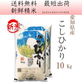 米屋さんが大好きな お米 愛知県産コシヒカリ白米10kg hk-10(米/穀物)