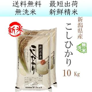 米屋さんが大好きな お米 新潟県産コシヒカリ無洗米10kg nkm-10(米/穀物)