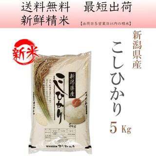 米屋さんが大好きな お米 新潟県産コシヒカリ白米5kg nk-5(米/穀物)