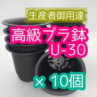 U30 10個 高級 プラ鉢 3号 U-30 多肉植物 アガベ ユーフォルビア (プランター)