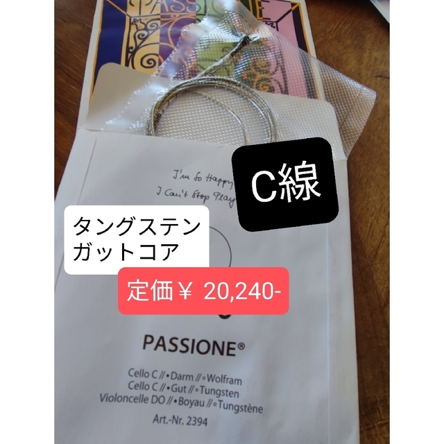 【チェロ弦】PASSIONE G線（ガットコア、タングステン）