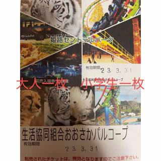 姫路セントラルパーク　入園券(遊園地/テーマパーク)