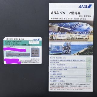 ANA 全日空 株主優待券1枚　期限：2023年11月30日(その他)