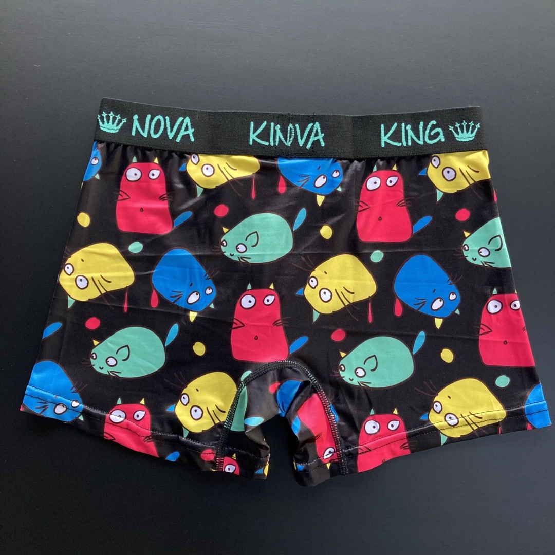 【新品】Lサイズ★KINGNOVA★キングノバ★ボクサーパンツ★2枚組★F