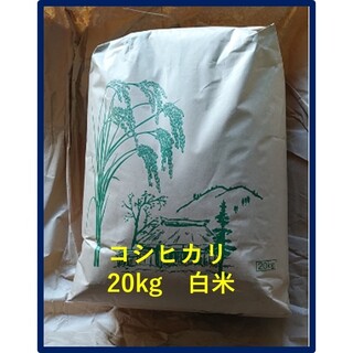コシヒカリ白米20kg(農協出荷は一等米)山形県産　令和４年産(米/穀物)