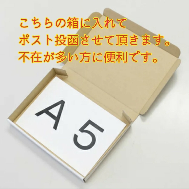 紀州南高梅完熟白干梅干し500g 食品/飲料/酒の加工食品(漬物)の商品写真