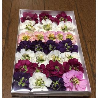 18  銀の紫陽花が作った可愛い春色ストックのドライフラワー‼️(ドライフラワー)