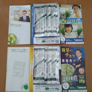 山本漢方製薬　大麦若葉粉末100% 青汁②(青汁/ケール加工食品)